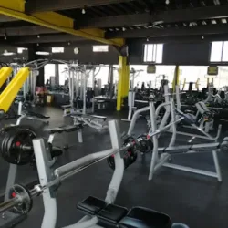 PWR GYM SAUCILLO