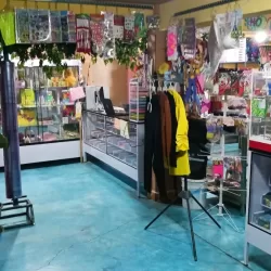 Papelería Mis Coroneles y Tienda