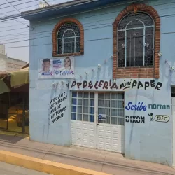 Merceria Y Papeleria Mini Paper