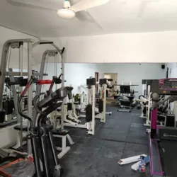 Camaleón Gym
