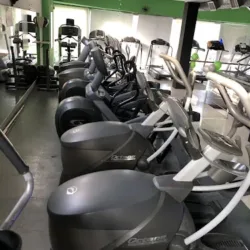 "Body Concept"