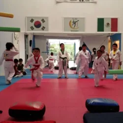 San Shin Tae Kwon Do Loma Bonita