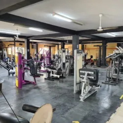 Mino's Gym Mzt