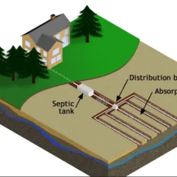 American Rooter & Drain