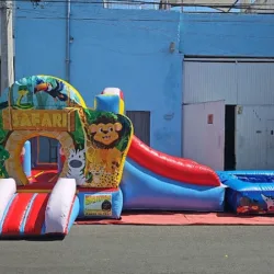 Renta de Inflables Brincaventuras