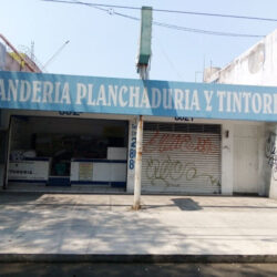 Lavanderia insurgentes