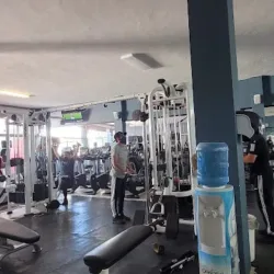 Vive Sport Gym