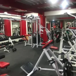 ELITE PRO GYM