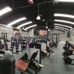 Fit Club