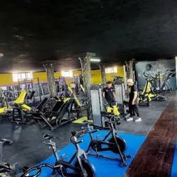 Gimnasio Live Fit Castillos