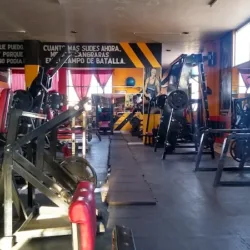 JEFE GYM