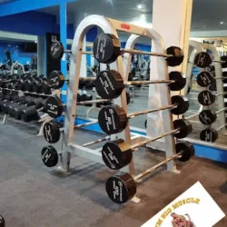 Big muscule gym