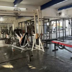 Total Body Gym