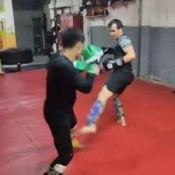 Tinoco´S Studio martial arts