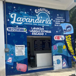 Lavandería cosmos