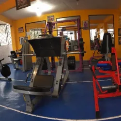 Gimnasio Dragon Gym