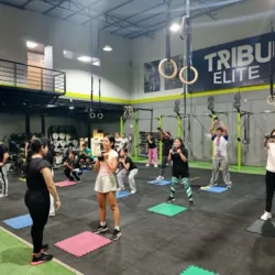 Tribu Elite