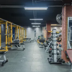 Nutrifitness