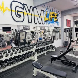 Gym Life