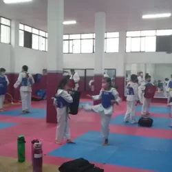 KYEONGJU TOREO NEZA
