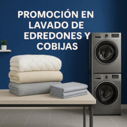 Klin Lavado y Planchado Profesional