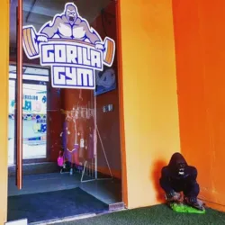 Gorila gym