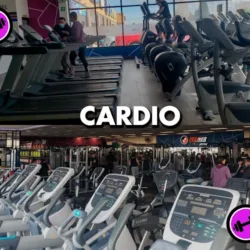 Trainer Gym PLUS Torresol
