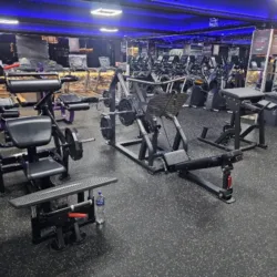 Arnol´s Gym Juárez