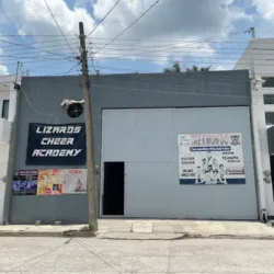 Lizards Cheer & Dance Academy
