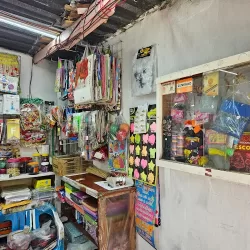 Papeleria y merceria Sam