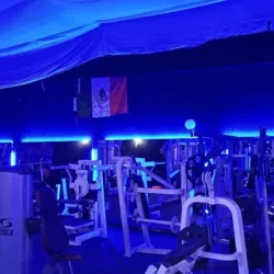 Olimpo Gym NR