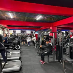 Semper (Academia,Cantera boxeo,Gimnasio)
