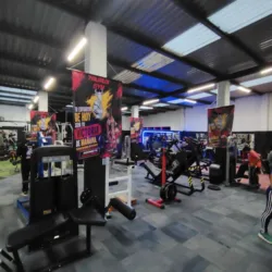 TAURUX GYM