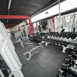 Otis Gym