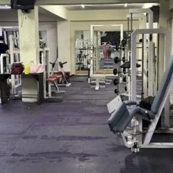 Bear’s Gym