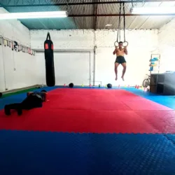 Team Poison Gym (Artes Marciales Mixtas)