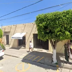 El colibrí
