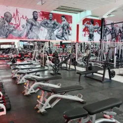PULSE FITNESS GYM