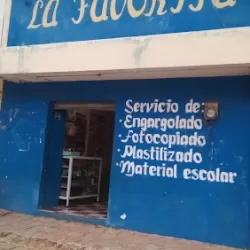 Papeleria La Favorita