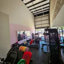 Gymbabes