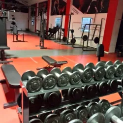 CATSGYM