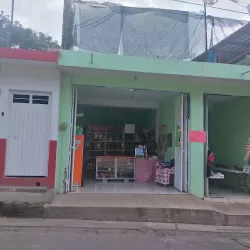 Papeleria y Mercería Prisma color