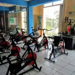 Gym Health