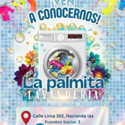 Lavanderia La Palmita