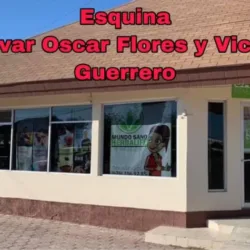 Mundo Sano