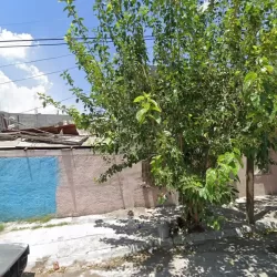 Mercería La Perla Abasolo