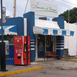 Lavandería del Bosque