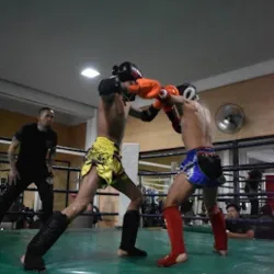 Warriors Thai Toluca sur