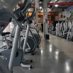 Great Fitness Paseo Tec