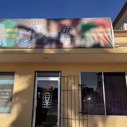 Bordatec gp